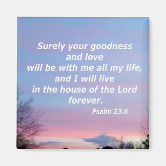 Psalm 23:6 magneet