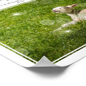 Psalm 23 De Heer is mijn Shepherd Foto Poster (Hoek)