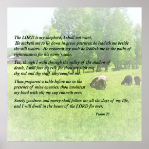 Psalm 23 De Heer is mijn Shepherd Poster