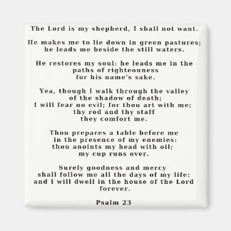Psalm 23 wit magneet