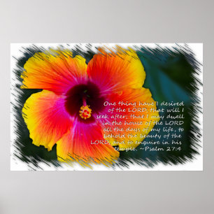 Psalm 27:4 Hibiscus op wit Poster