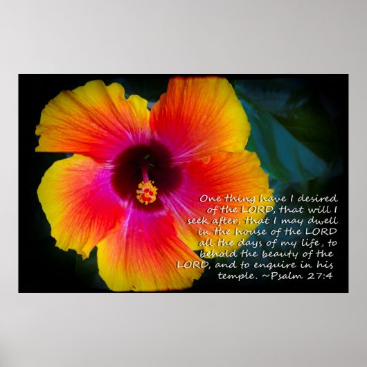 Psalm 27:4 Hibiscus op zwart Poster (Voorkant)