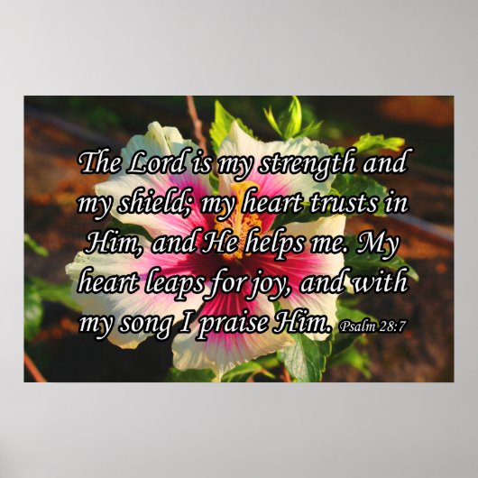 Psalm 28:7, Hibiscus Poster (Voorkant)
