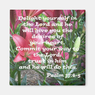 Psalm 37:4-5 magneet