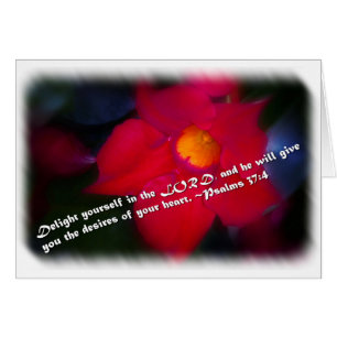 Psalm 37:4 over het wit