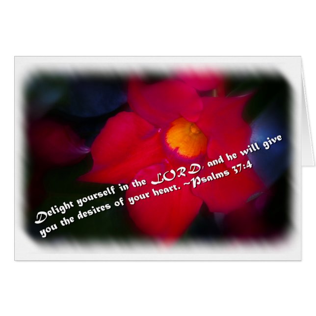 Psalm 37:4 over het wit (Voorkant Horizontaal)