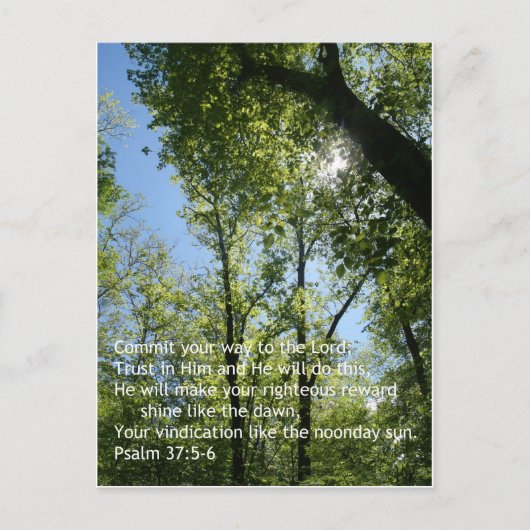 Psalm 37:5-6 briefkaart (Voorkant)