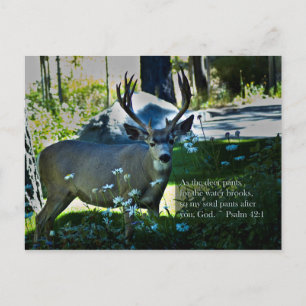 Psalm 42:1 en Deer Briefkaart