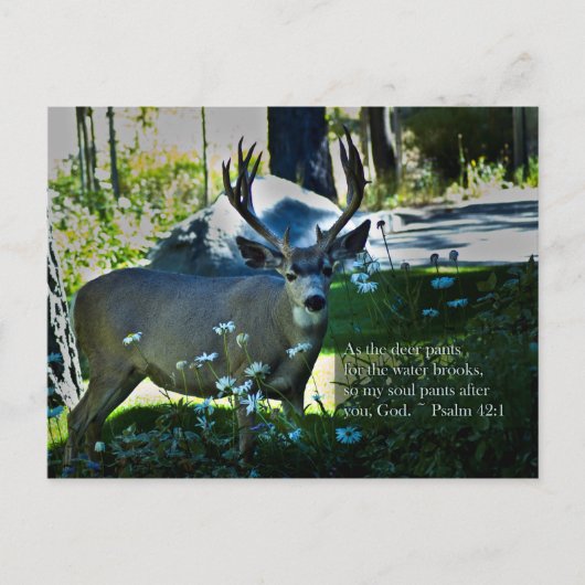 Psalm 42:1 en Deer Briefkaart (Voorkant)