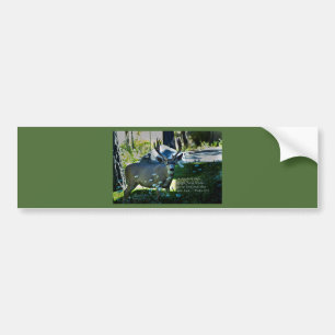 Psalm 42:1 en Deer Bumpersticker