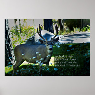 Psalm 42:1 en Deer Poster
