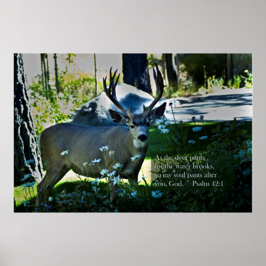 Psalm 42:1 en Deer Poster (Voorkant)