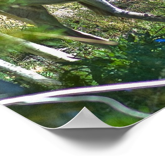 Psalm 42:1 poster (Hoek)