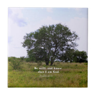 Psalm 46:10 Inspirerend Bijbelprijsopgave Tegeltje