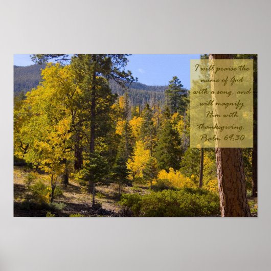 Psalm 69:30 Poster (Voorkant)