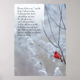 Psalm 91, Christelijk poster met een rode vogel