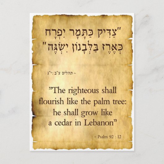 Psalm 92:12 Hebreeuws en Engels Briefkaart (Voorkant)