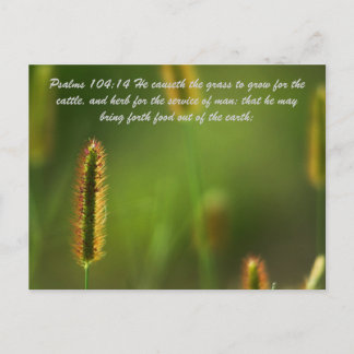 Psalms 104:14 Hij causeth the gras to grow for the Briefkaart
