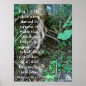 Psalms 1:3 poster (Voorkant)