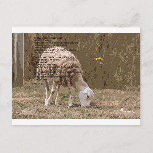 Psalms 23 briefkaart