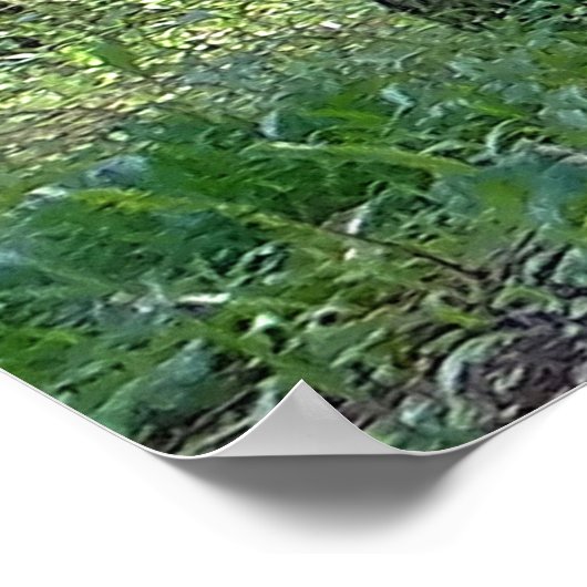 Psalms 96:12 Inspirerend Poster (Hoek)