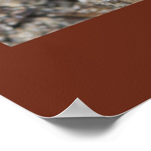 Psaume 128: 1, 2 Ecriture Poster (Coin)