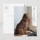 Psaume 130:5 Fenêtre de chien Carte postale (Devant / Derrière)