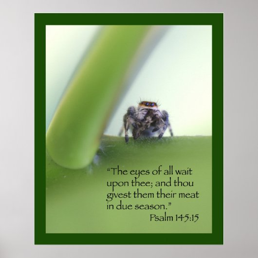 Psaume 145:15 Écriture Poster (Devant)