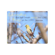Psaume 150:6 - Goldfinch