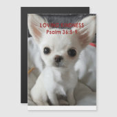 Psaume 36 Invitations Chihuahua (Devant / Derrière)