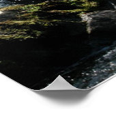 Psaume 42:1 Poster (Coin)