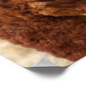 Psaume 46:10 Poster Alpaca (Coin)