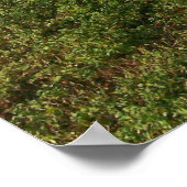 Psaume 62:8 Psaume d'encouragement Poster (Coin)