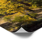 Psaume 69:30 Poster (Coin)