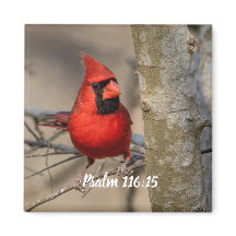 Psaume cardinal rouge 116:15 Magnet