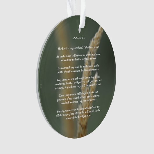 Psaumes 23 : 1-6 (devant)