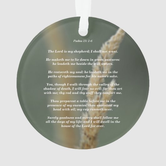 Psaumes 23 : 1-6 (dos)