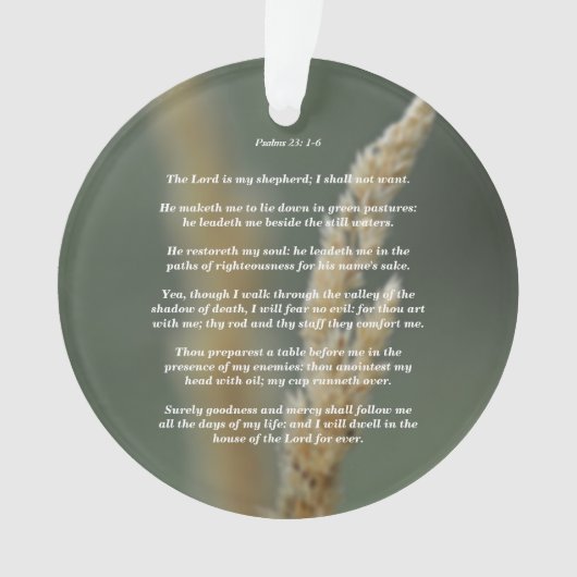 Psaumes 23 : 1-6 (devant)