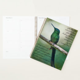 Psaumes 91:1-4 Inspirationnel