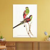 Psephotus Pulcherrimus Canvas Afdruk (Insitu (Woonkamer))