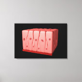 Pseudostratified Columnar Epithelium Canvas Afdruk (Voorkant)