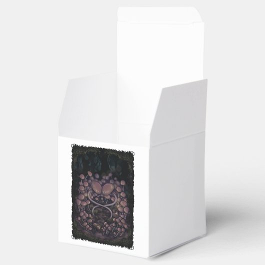 Psilocybe Allenii Bedankdoosjes (Geopend)