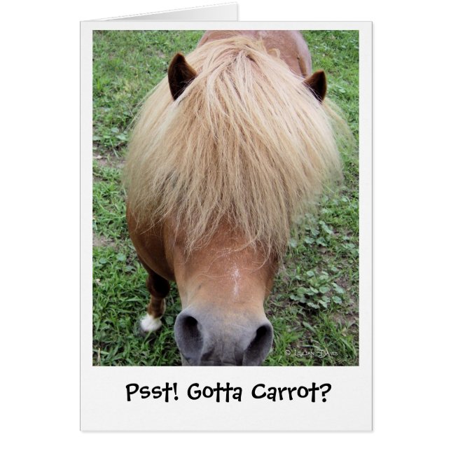 Psitt ! Obtenu à la carotte ? (Devant)