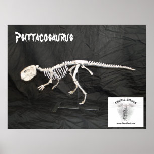 Psittacosaurus Skelet Poster