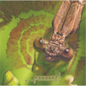 Pssst. Happy Damselfly Foto Sticker (Voorkant)
