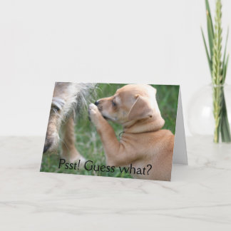 Psst! Gissing wat? Kaart