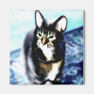 Psychadelisch Kat Magneet