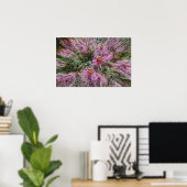 Psychedelic Susans Poster (Thuiskantoor)