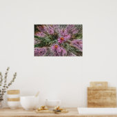 Psychedelic Susans Poster (Keuken)