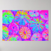 Psychedelic Urchins Poster (Voorkant)